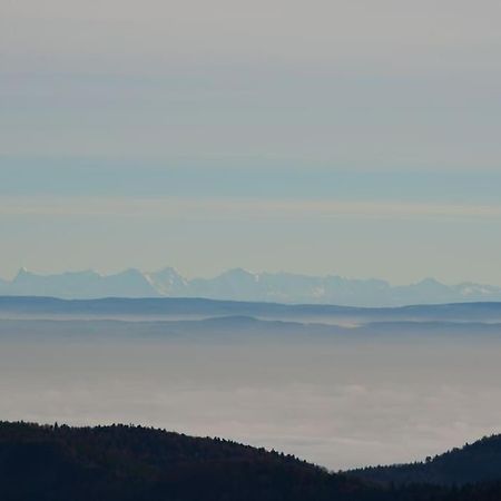 Doller Villa 4 Stars Hot Tub Mountain Ski Ballon D'Alsace Sewen Eksteriør billede