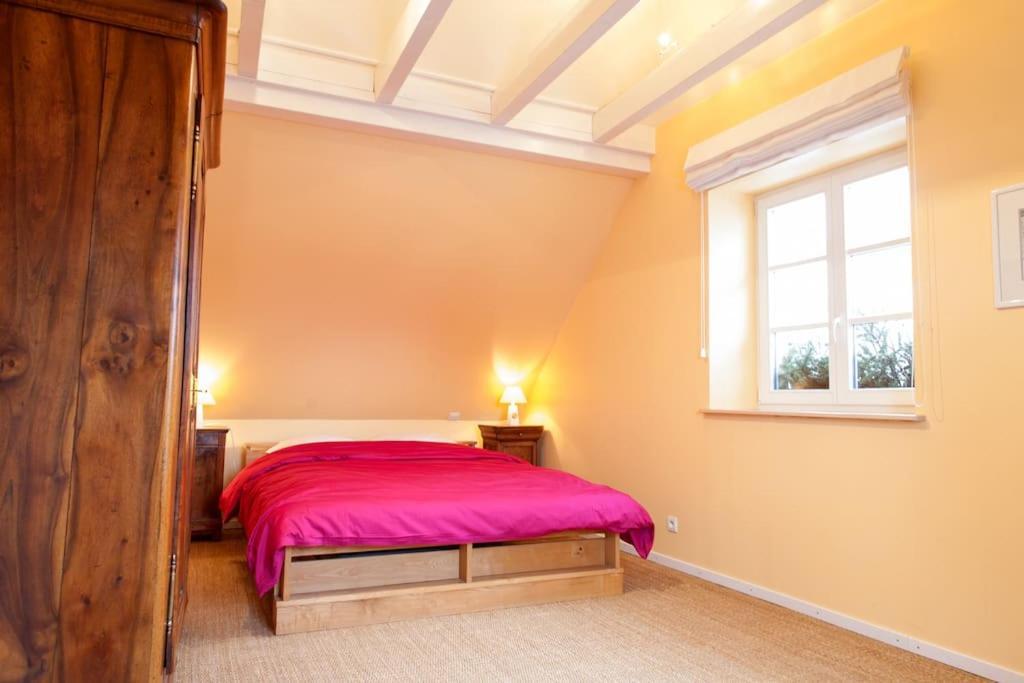 Doller Villa 4 Stars Hot Tub Mountain Ski Ballon D'Alsace Sewen Eksteriør billede