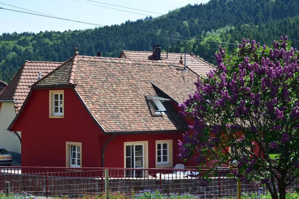 Doller Villa 4 Stars Hot Tub Mountain Ski Ballon D'Alsace Sewen Eksteriør billede