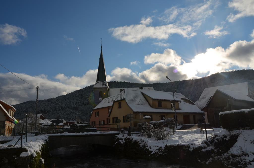 Doller Villa 4 Stars Hot Tub Mountain Ski Ballon D'Alsace Sewen Værelse billede